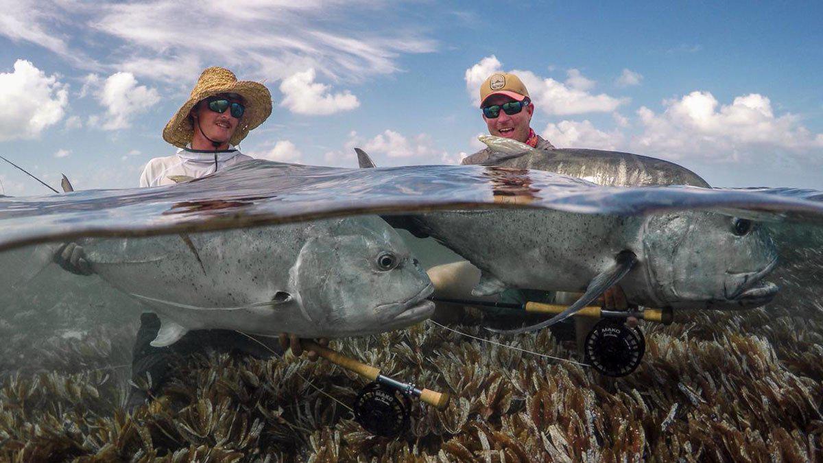 Mako Reels