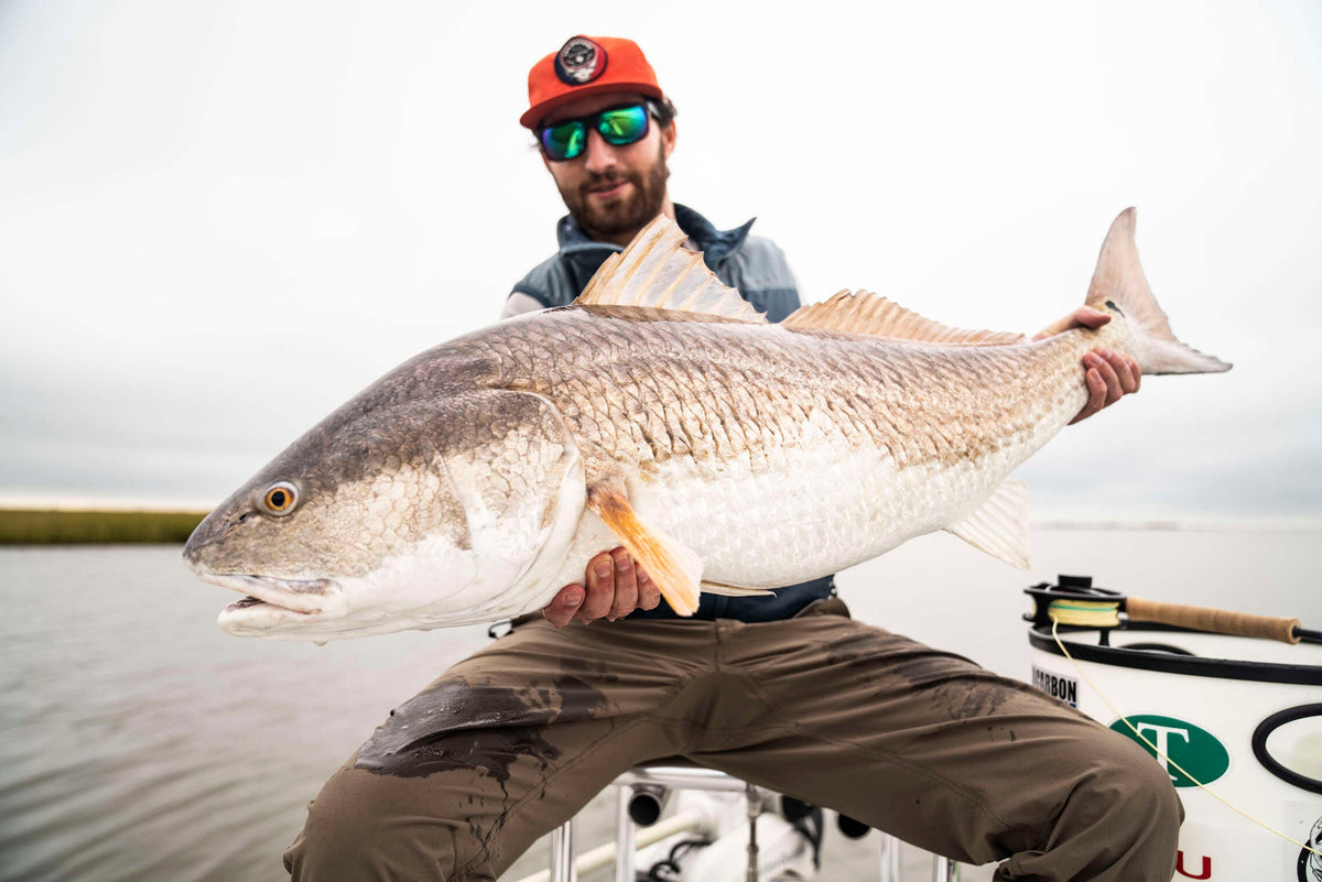Louisiana Redfish - Sunglasses