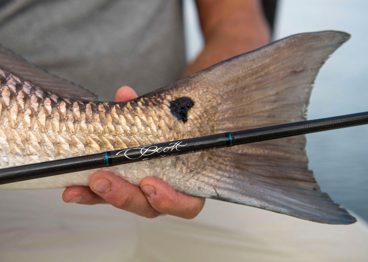 Louisiana Redfish - Fly Rods
