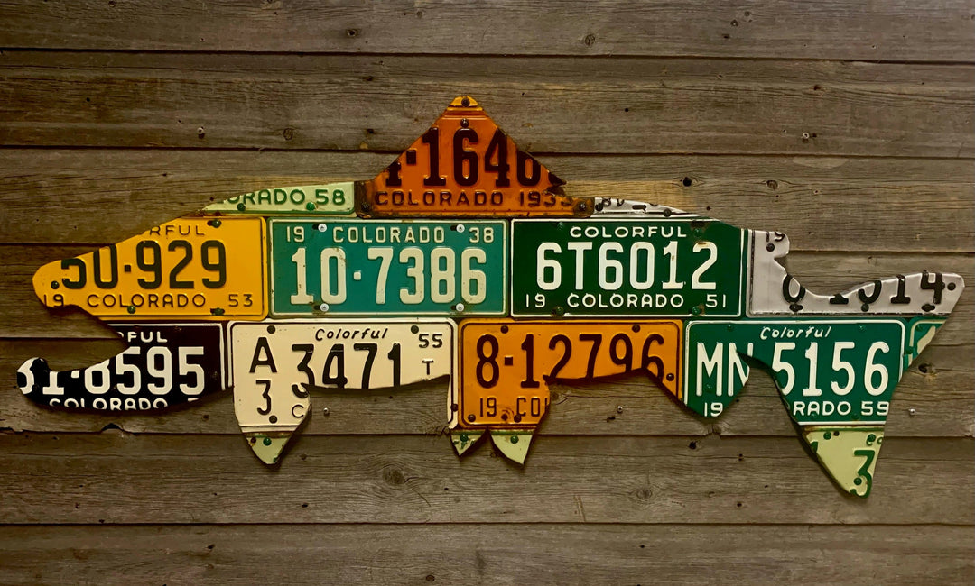 Cody's Fish 50" Colorado Brown Trout License Plate Art