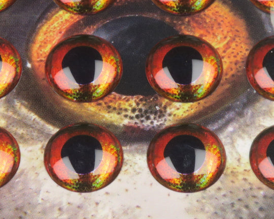 Hareline Fish Skull Living Eyes, view 2
