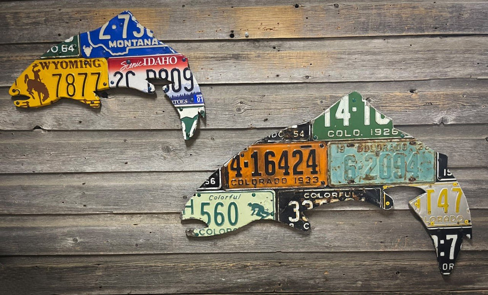 Cody's Fish 24" Mixed Western State Trout License Plate Art, view 2