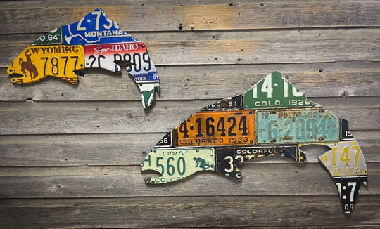 Cody's Fish 24" Mixed Western State Trout License Plate Art, view 2