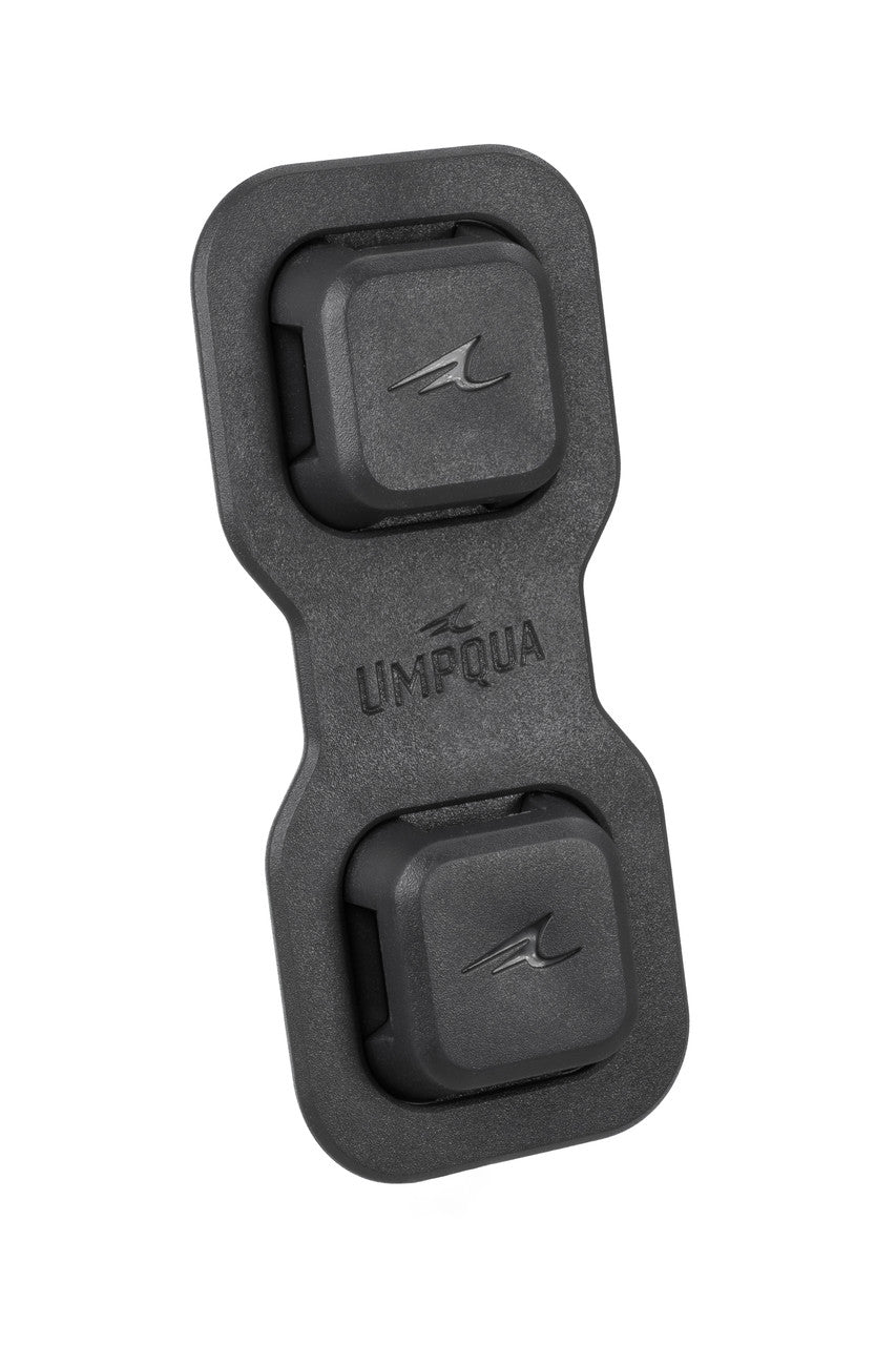 Umpqua Link Base Station