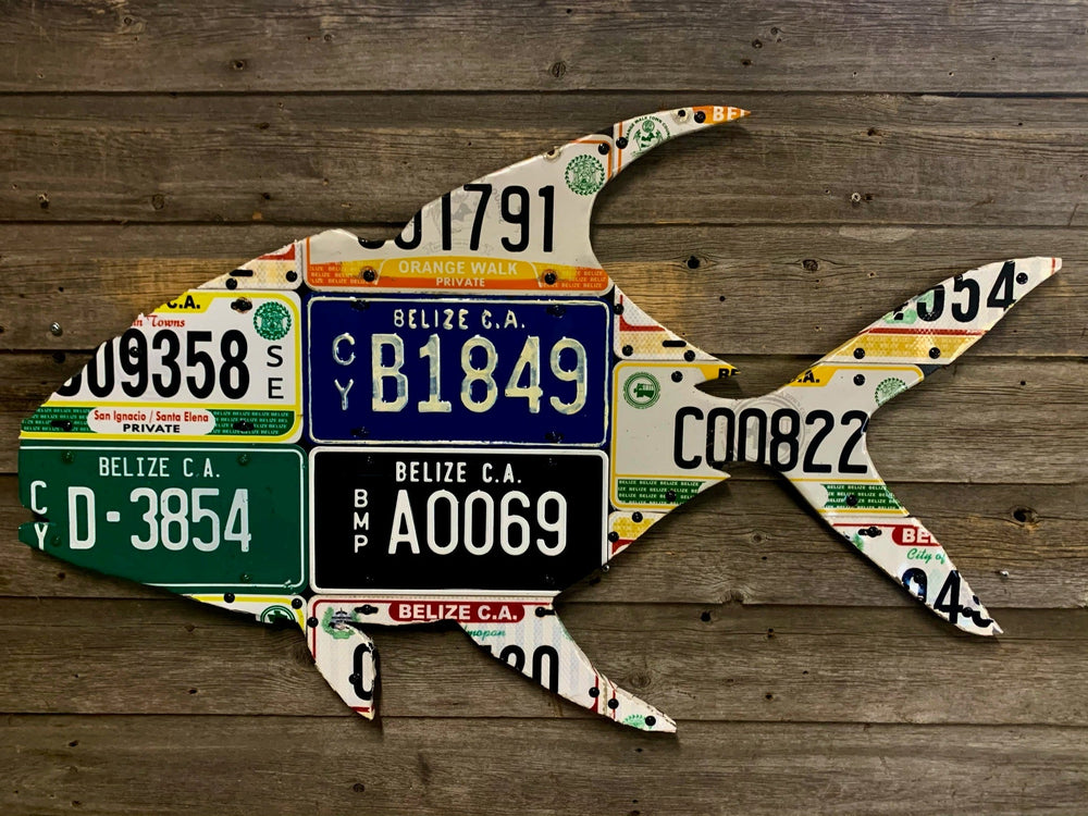 Cody's Fish Belize Permit License Plate Art, view 2