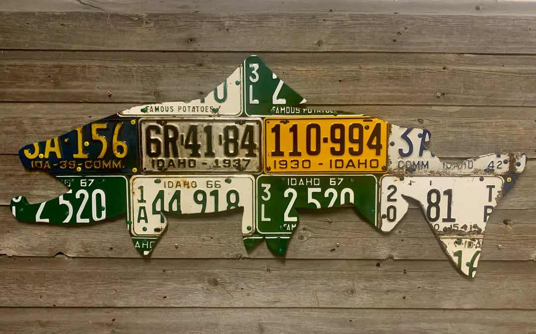 Cody's Fish 50" Idaho Antique Brown Trout License Plate Art