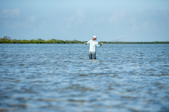 Thomas & Thomas Exocett 88 Fly Rod, view 8