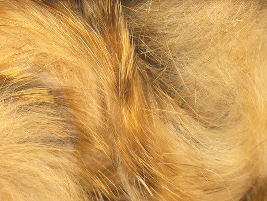 Hareline Brown Barred Magnum Rabbit Strips, view 4