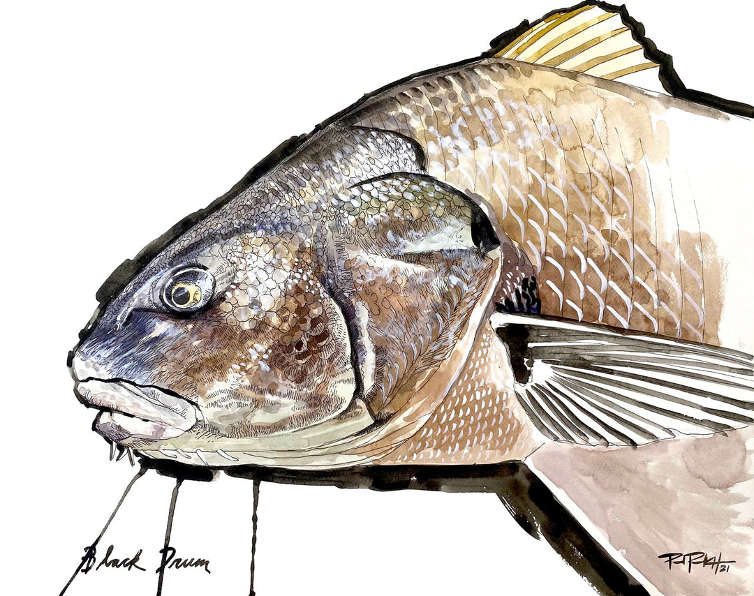 Paul Puckett Art Black Drum, Print