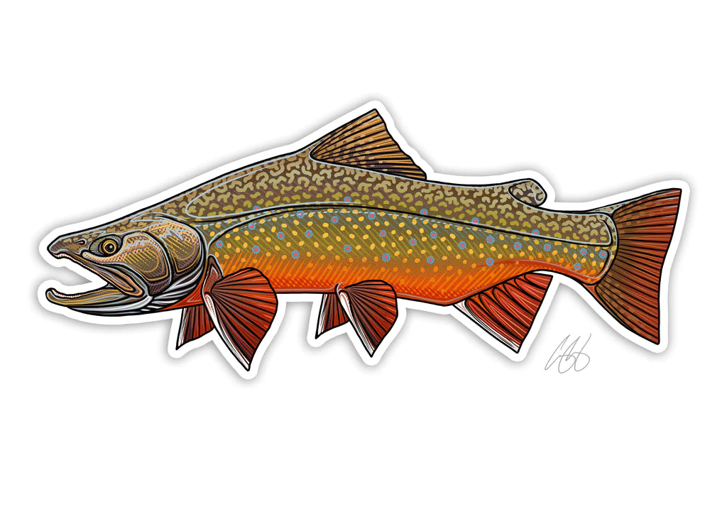 Casey Underwood Brook Trout Decal, Brook Trout