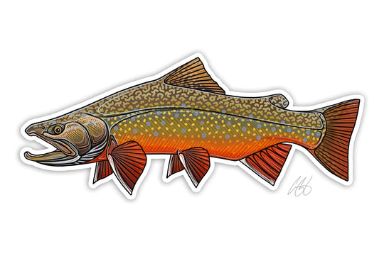 Casey Underwood Brook Trout Decal, Brook Trout