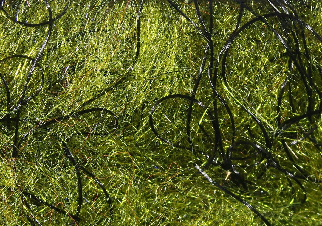 Hareline Cohen's Carp Dub, view 9