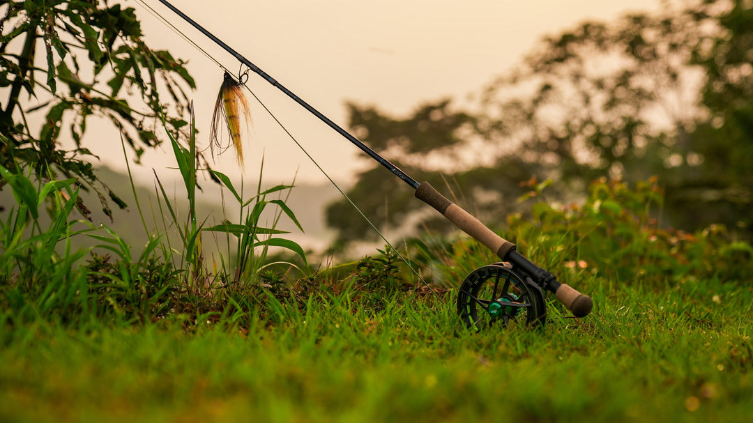 Thomas & Thomas Exocett 88 Fly Rod, view 5
