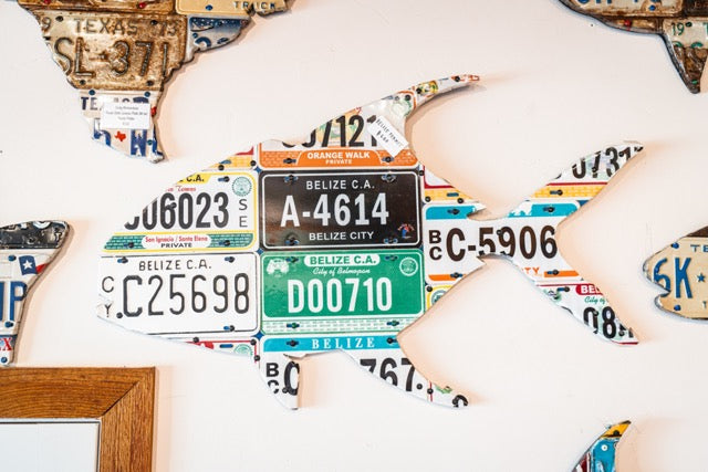 Cody Richardson Permit with Belize License Plates