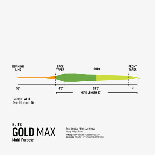 RIO Products Elite GOLD MAX Fly Line, view 4