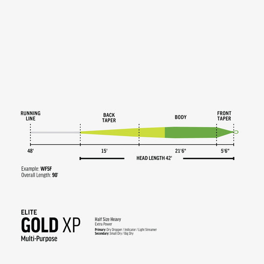 RIO Products Elite Gold XP Fly Line, view 3