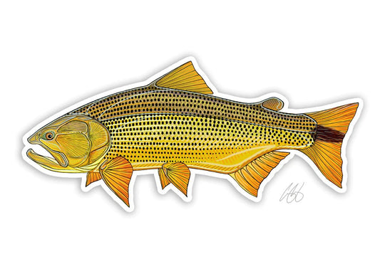 Casey Underwood Golden Dorado Decal, Golden Dorado