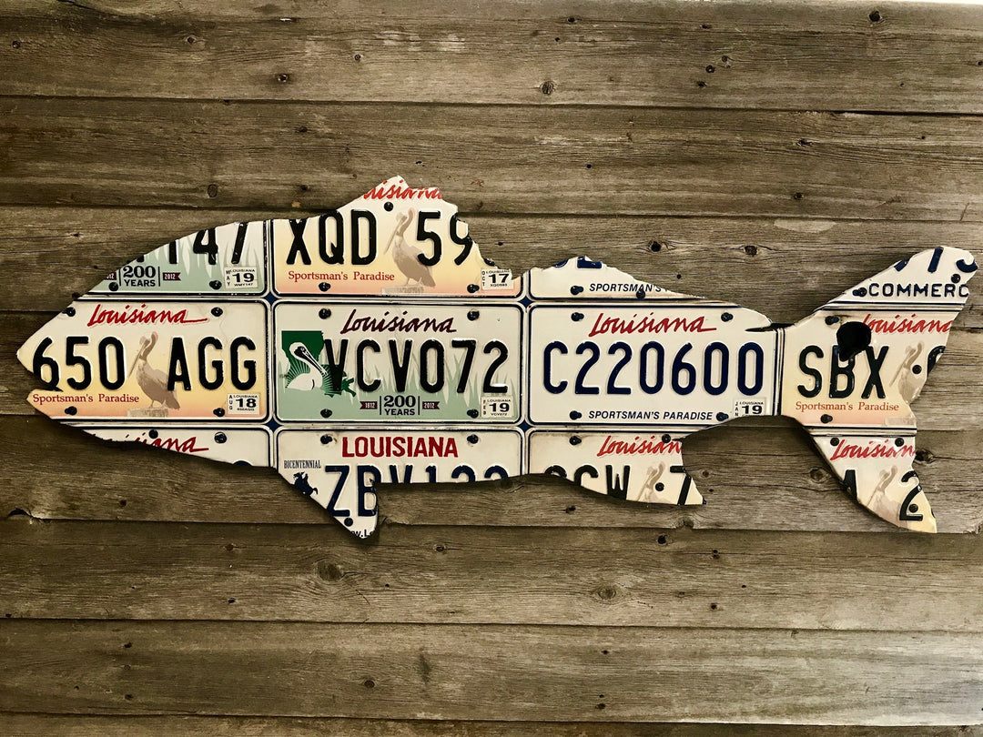Cody's Fish Louisiana Black Drum License Plate Art