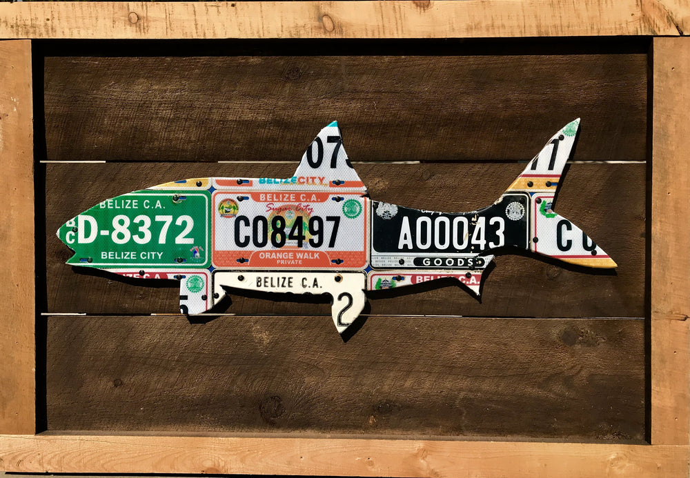 Cody's Fish Belize Bonefish License Plate Art, view 2