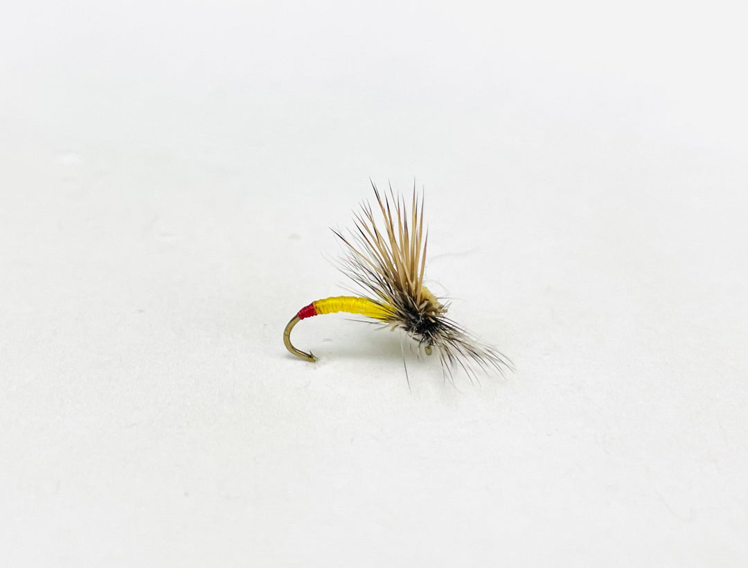 Element Fly Co Yellow Sally Head Lite