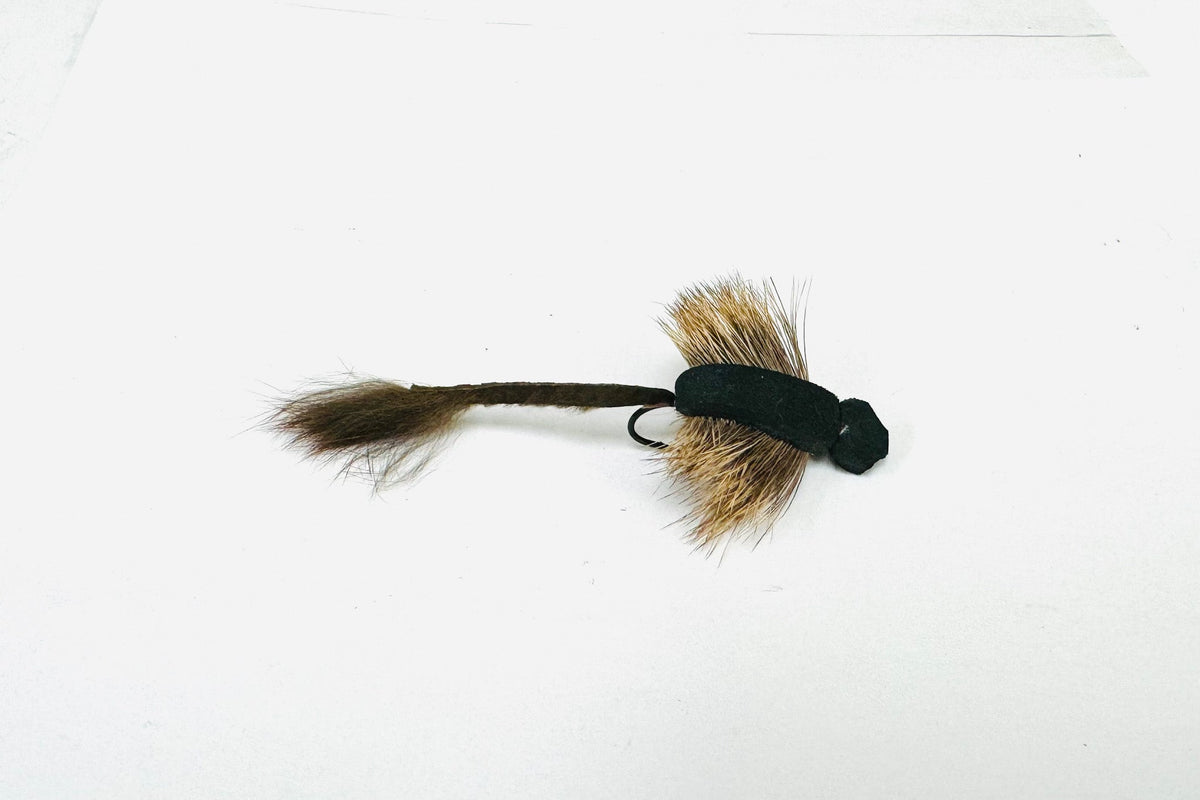 Element Fly Co Mouse Swimming