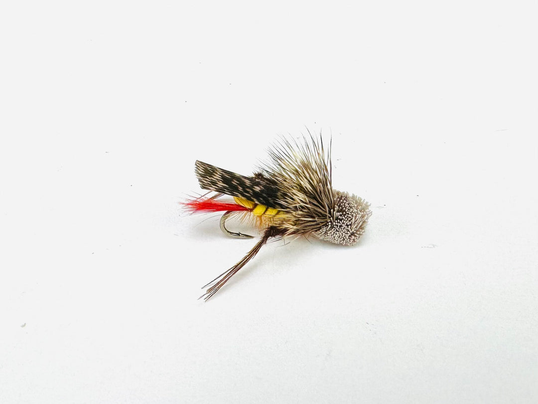 Element Fly Co Dave's Foam Hopper