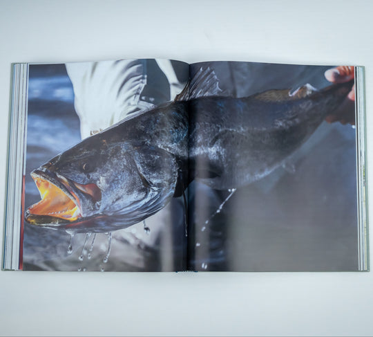 Urban Fly Fishing LAGUNA by Andres Spinnetti Book, view 7