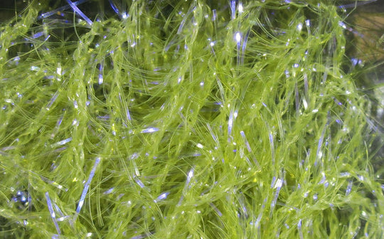 Hareline UV Polar Chenille, view 42