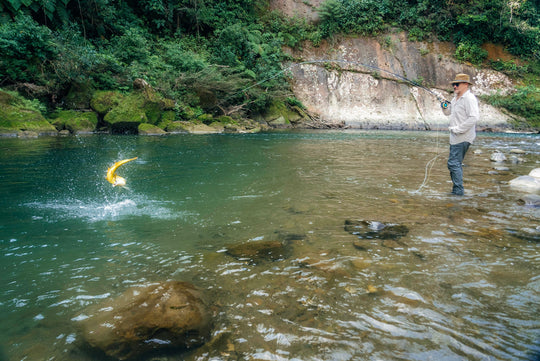 Thomas & Thomas Exocett 88 Fly Rod, view 12