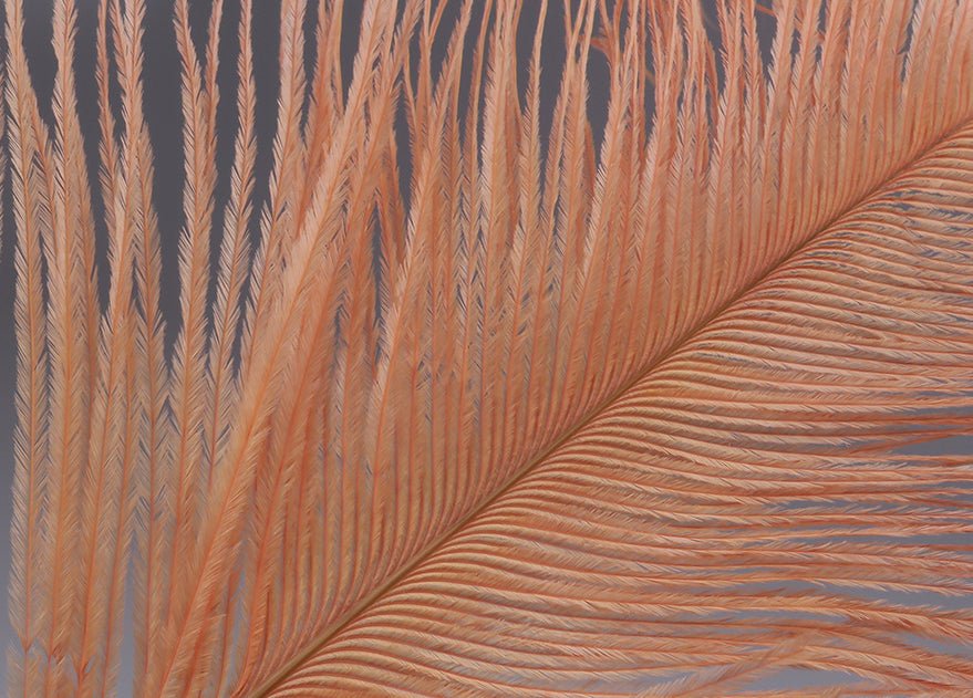 Hareline Ostrich Herl, view 18