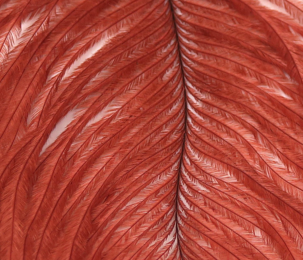 Hareline Ostrich Plume, view 2