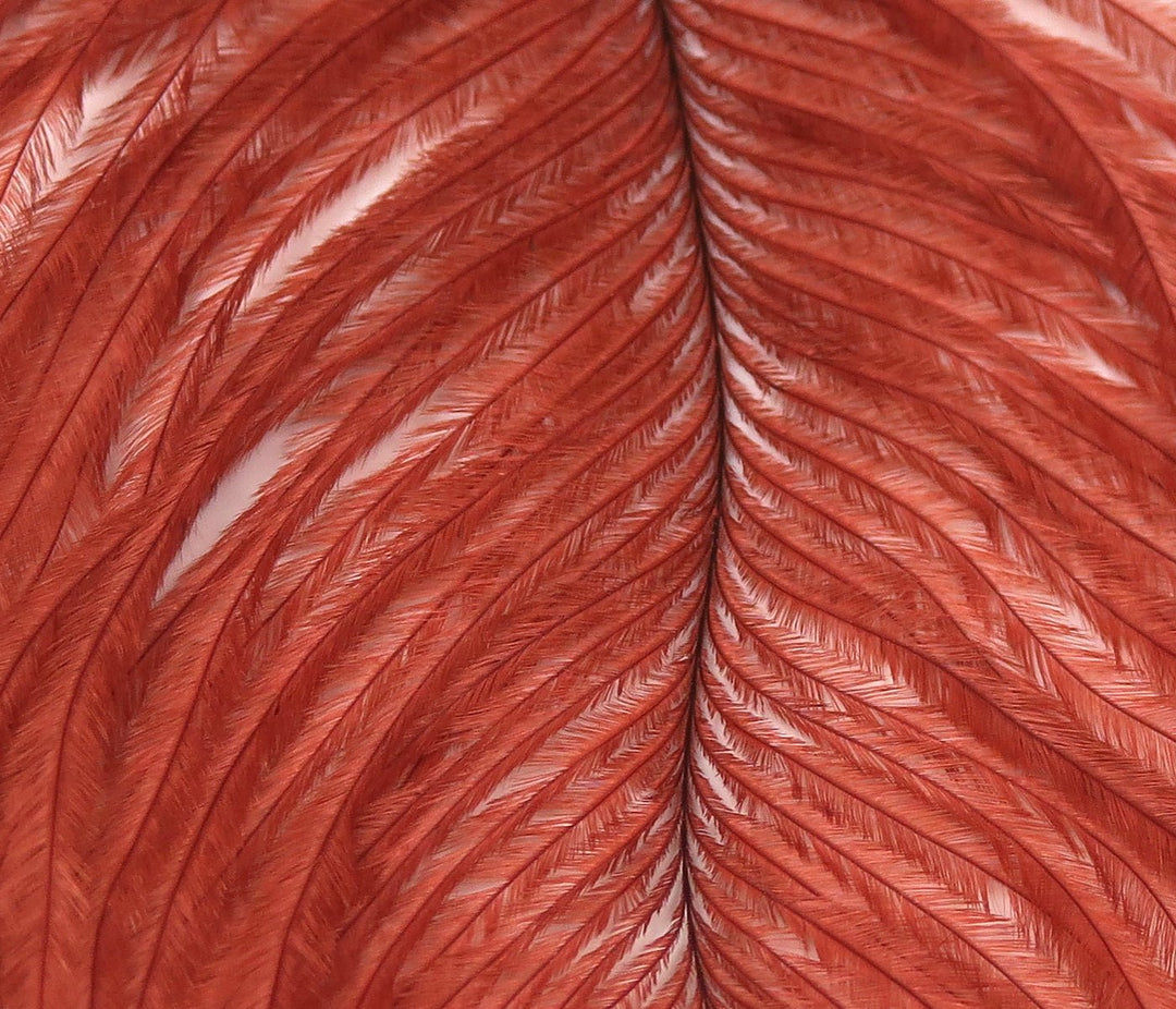 Hareline Ostrich Plume, view 2