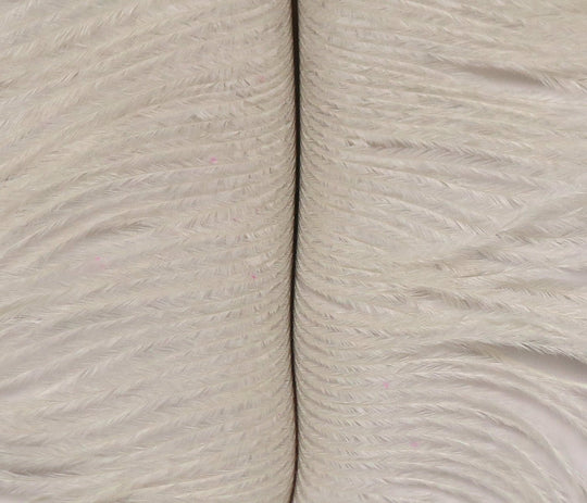 Hareline Ostrich Plume, view 14