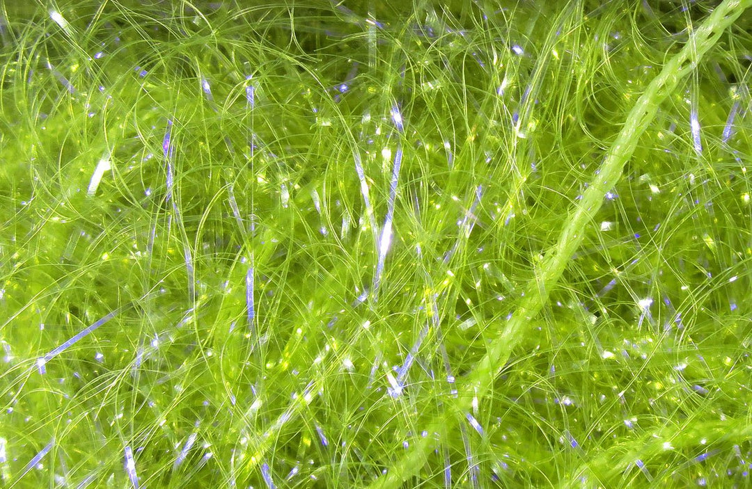 Hareline UV Polar Chenille, view 8