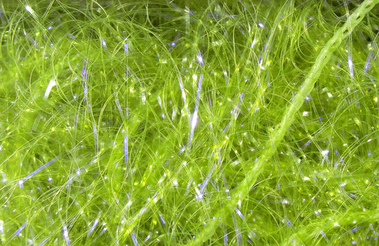 Hareline UV Polar Chenille, view 8