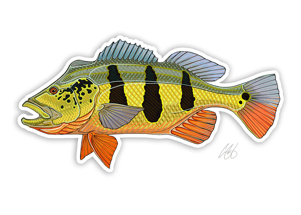 Casey Underwood Peackock Bass, Peacock Bass