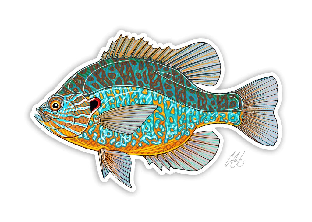 Casey Underwood Pumpkinseed Decal, Display