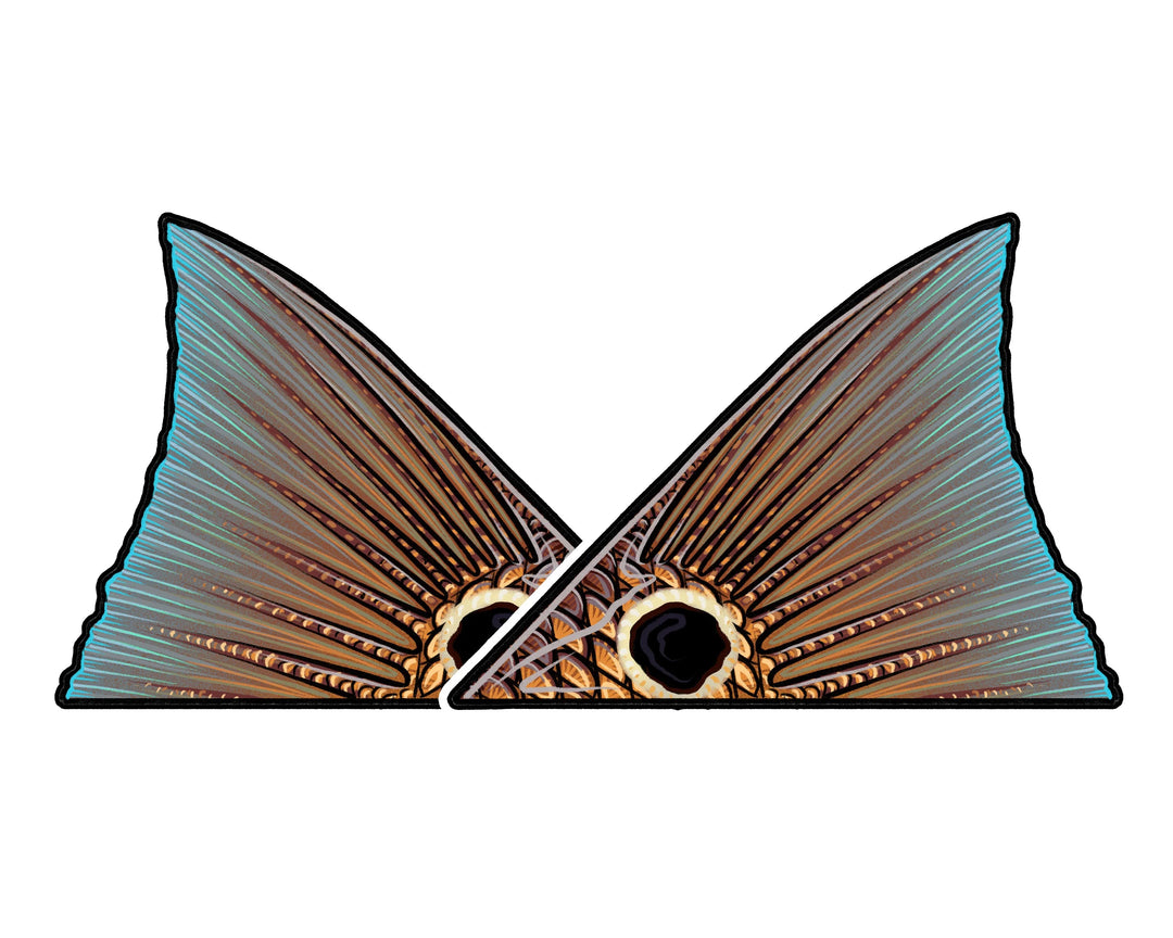 Casey Underwood Redfish Tail Decal, Display