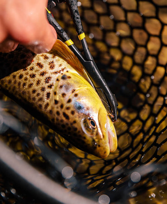 Loon Rogue Hook Removal Forceps, view 7