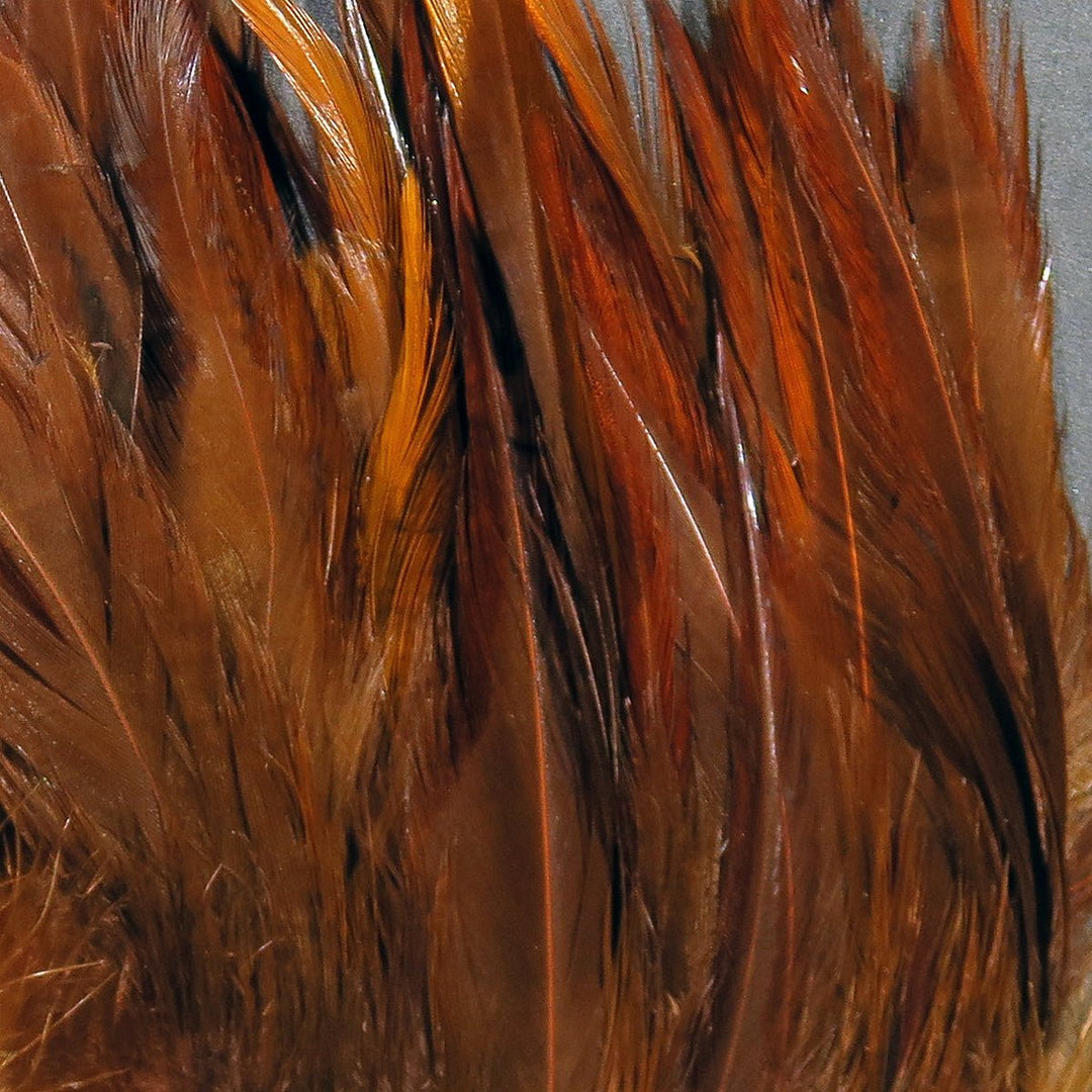 Hareline Strung Chinese Saddle, view 5