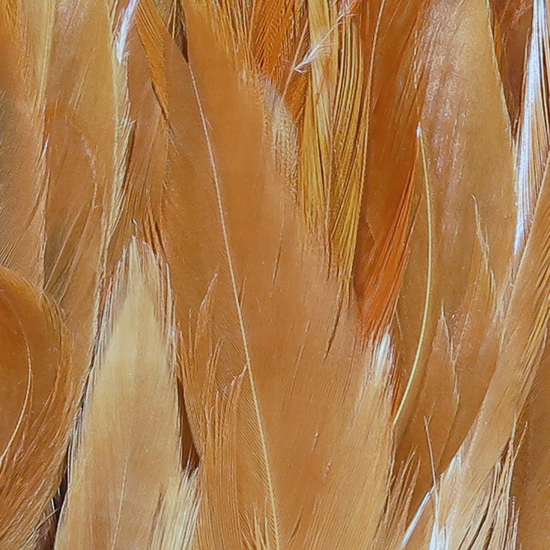 Hareline Woolly Bugger Saddle Hackle, view 4
