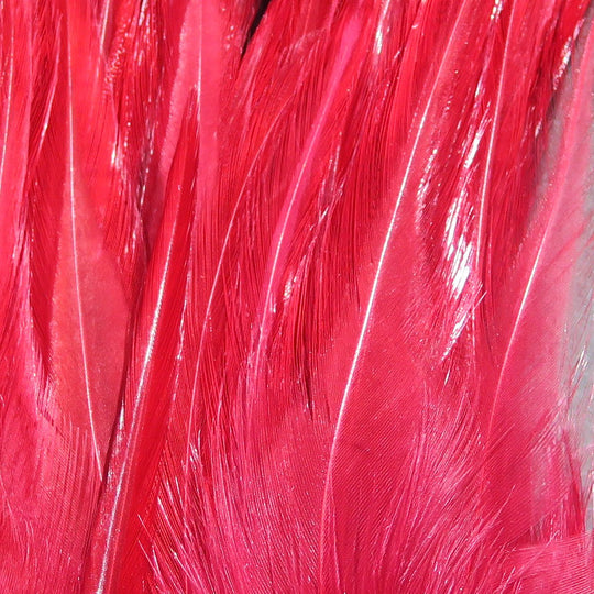 Hareline Woolly Bugger Saddle Hackle, view 3
