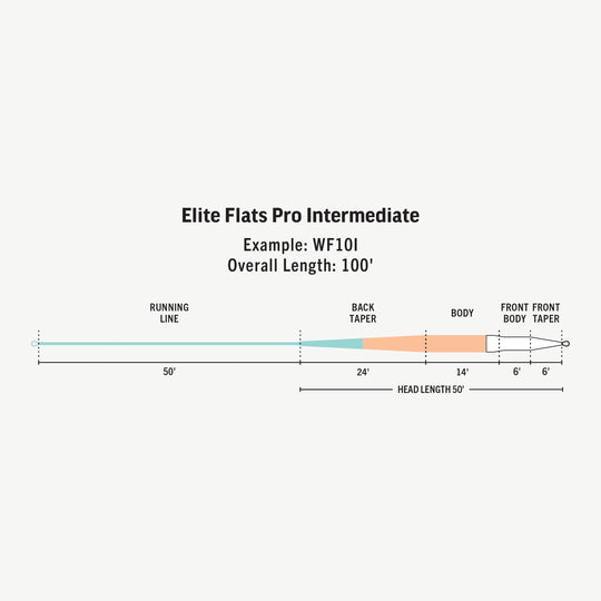 RIO Products Elite Flats Pro Intermediate Fly Line, Taper, view 3