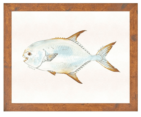 English Minter Ocean Permit Print