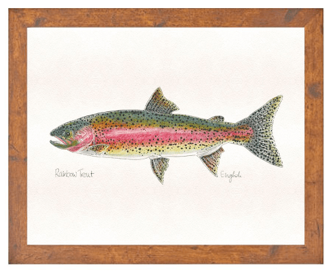 English Minter Rainbow - Large Dark Wood Frame