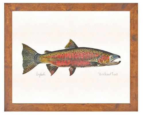 English Minter Steelhead - Large Light Wood