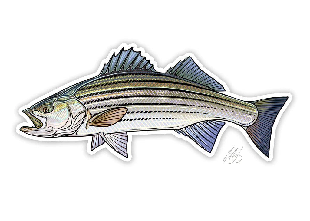 Casey Underwood Striper Decal, Striped Bass