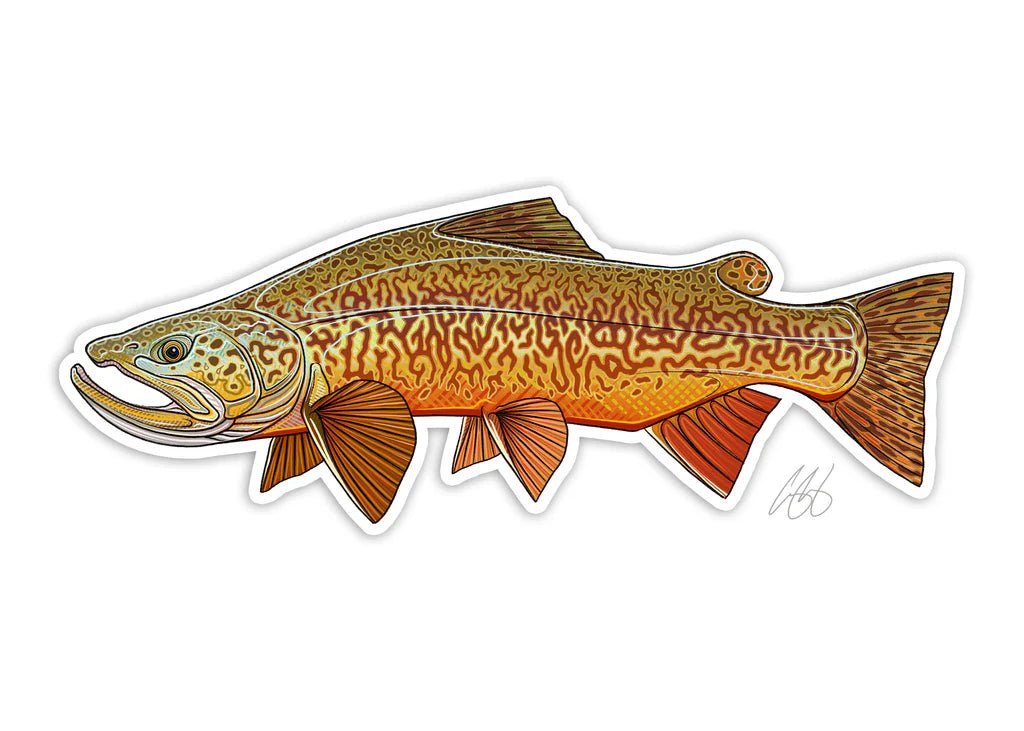 Casey Underwood Tiger Trout, Tiger Trout