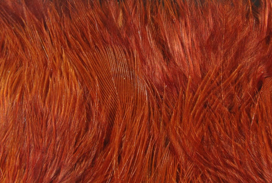 Hareline Wooly Bugger Marabou, view 16