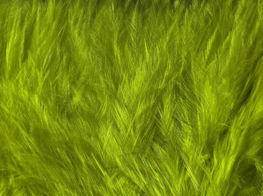 Hareline Wooly Bugger Marabou, view 23